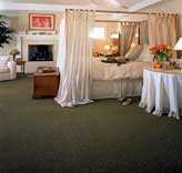 karastan carpet