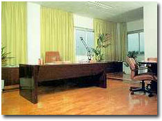 Cork Flooring